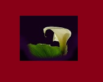 ImgOfHDPR